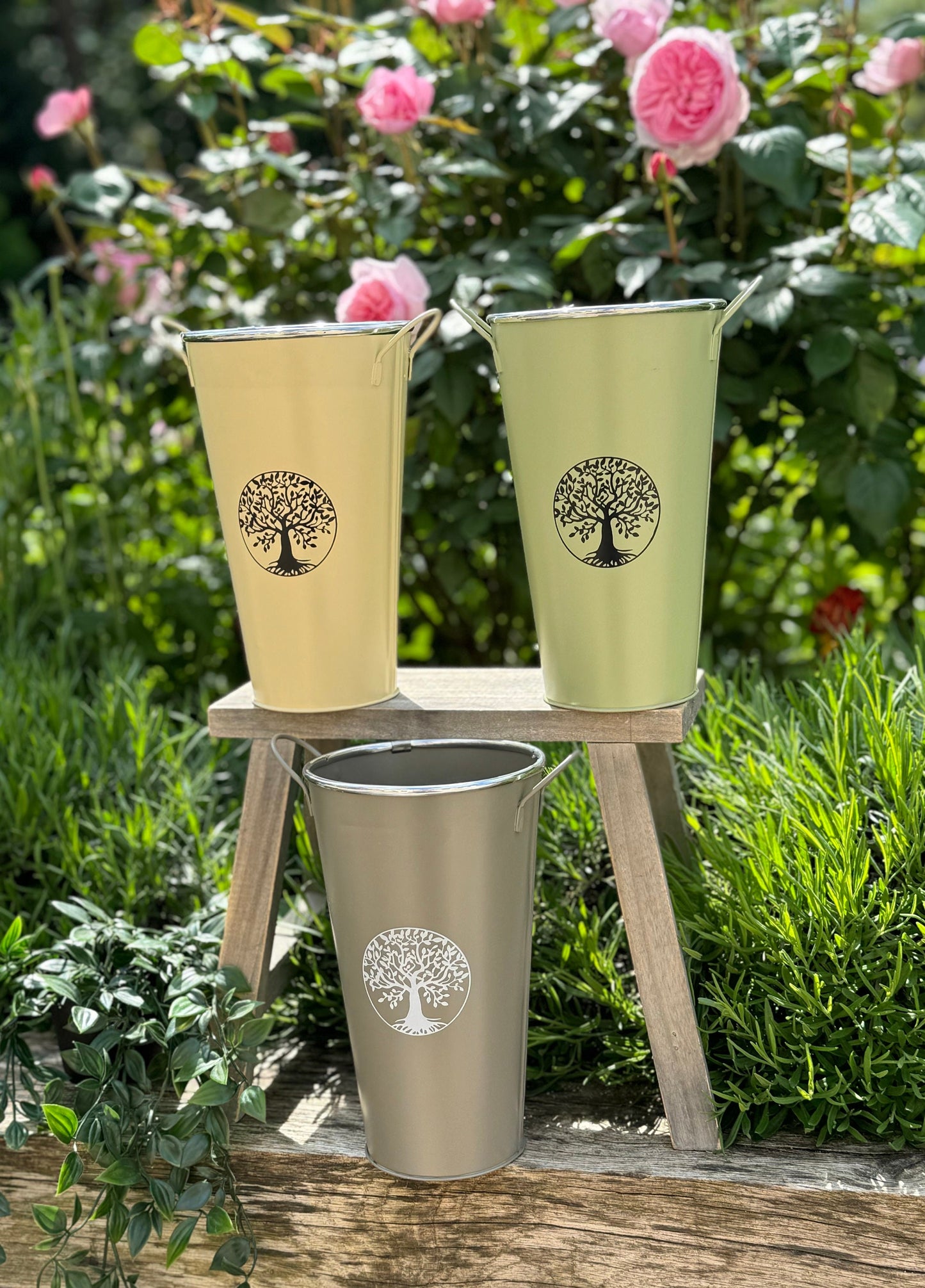 Tall Vintage Bucket Planter With Handle - 3 colours