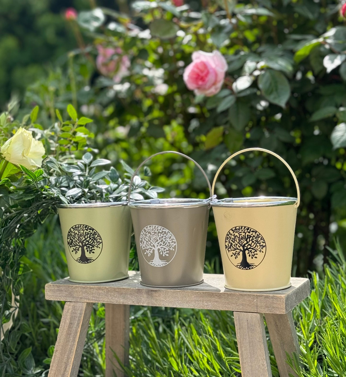 Small Vintage Metal Bucket Planter With Handle - 3 colours