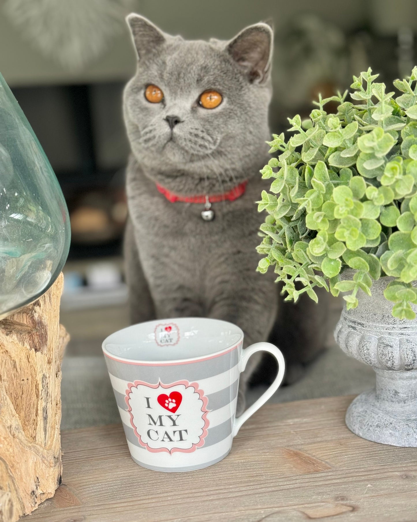 I Love My Cat Porcelain Mug