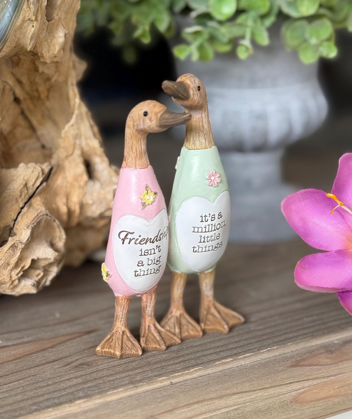 Friend Duck - Friends are a million things