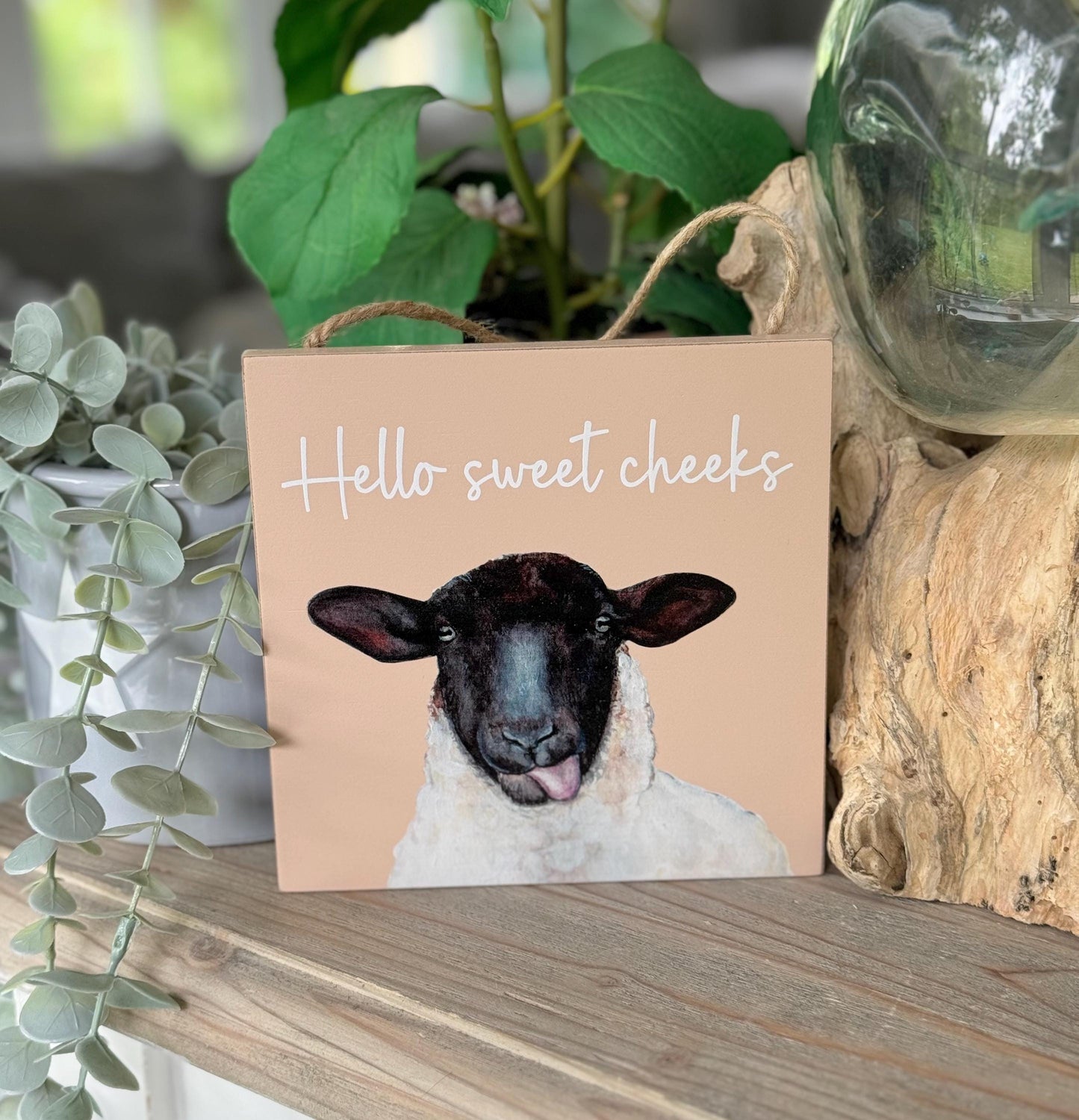 Wooden Hanging Sign/Plaque - Hello Sweet Cheeks