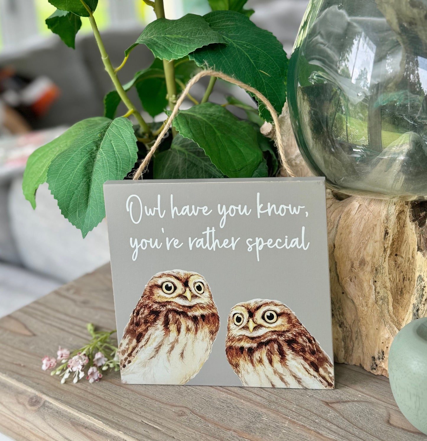 Owl Wooden Hanging Sign/Plaque.  "Owl have you know, you're rather special"