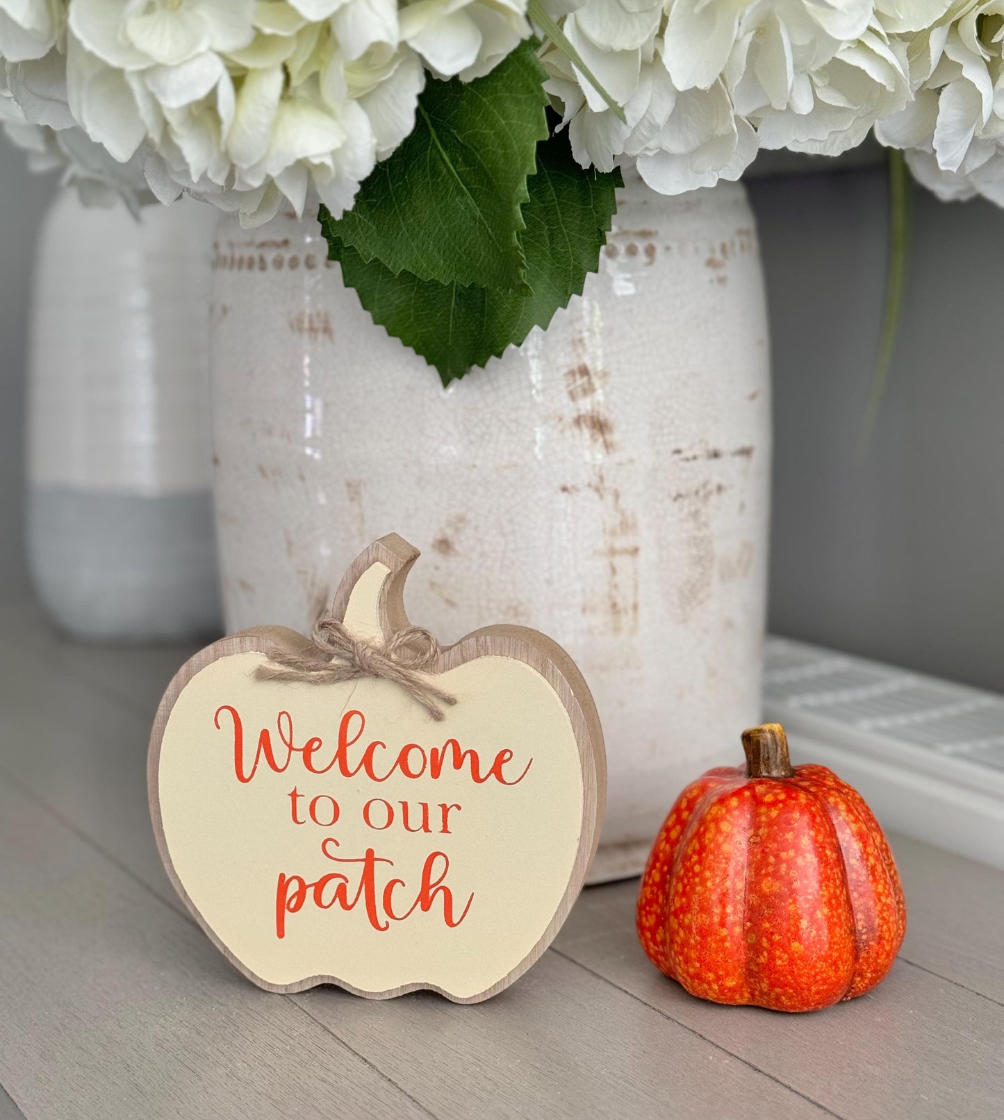 Autumn Welcome to our Patch Pumpkin Sign