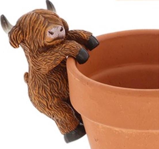 Sweet Highland Cow Pot Hanger - Facing Forward