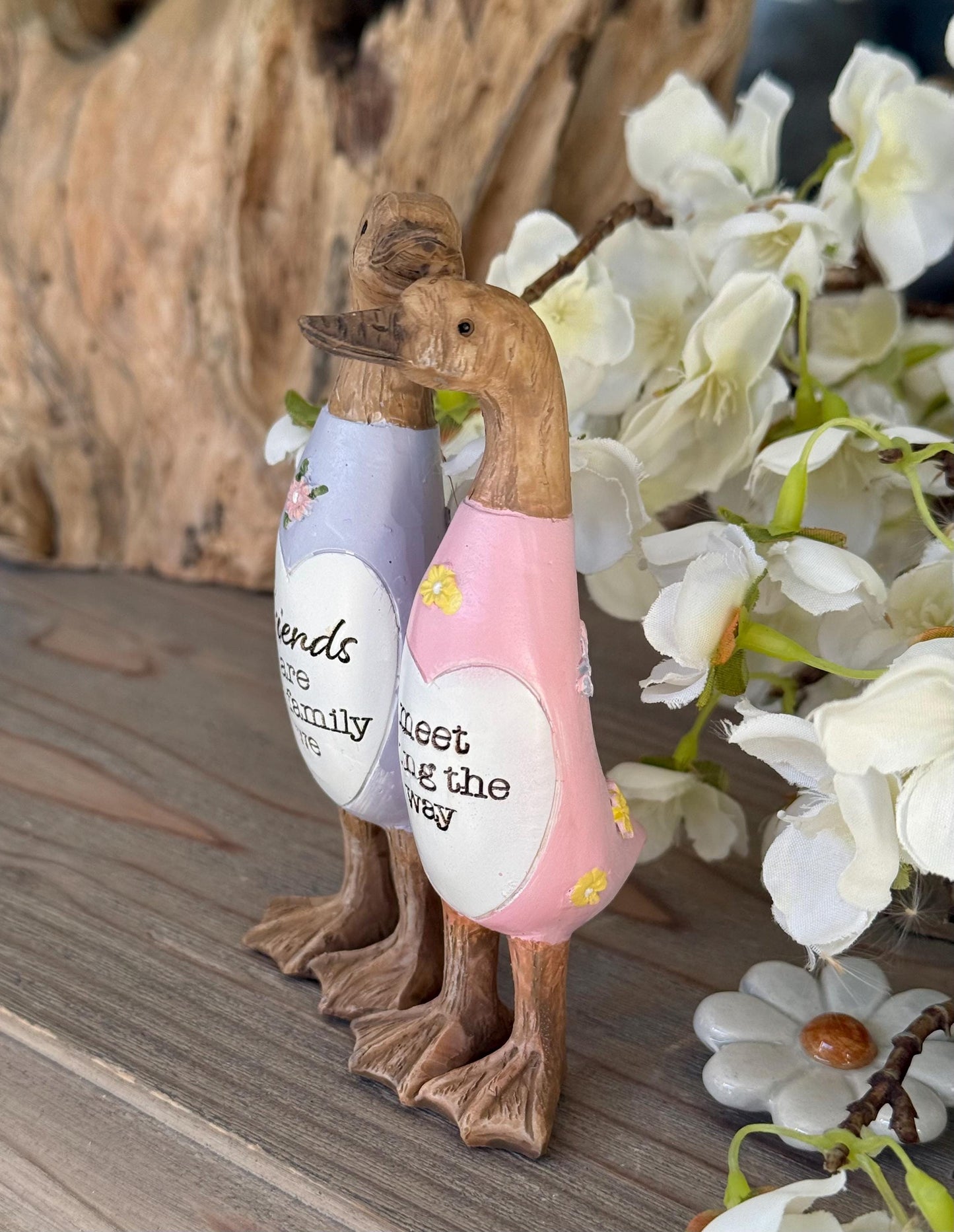 Friend Duck - Friends are Family we Meet