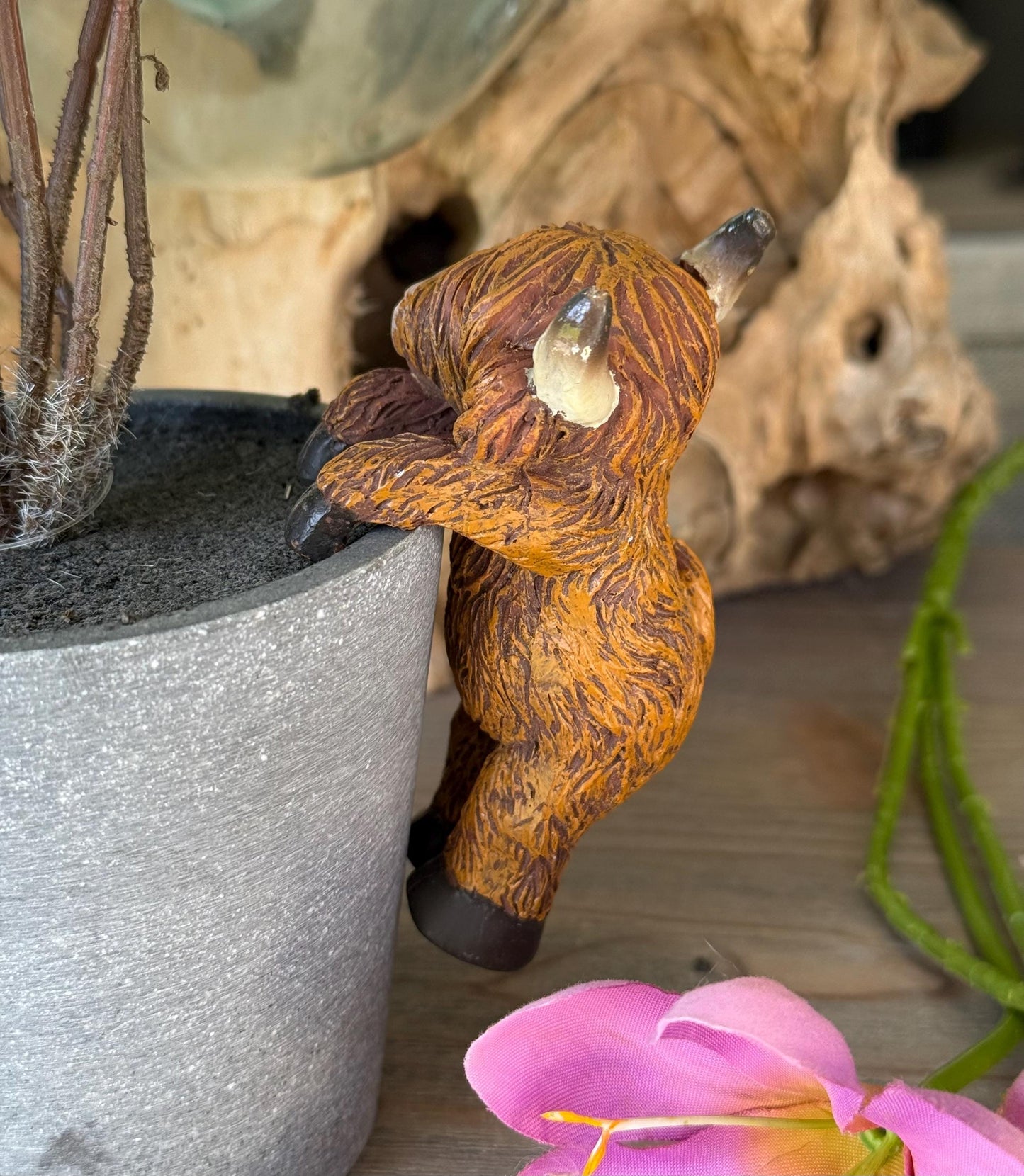 Sweet Highland Cow Pot Hanger - Facing Forward