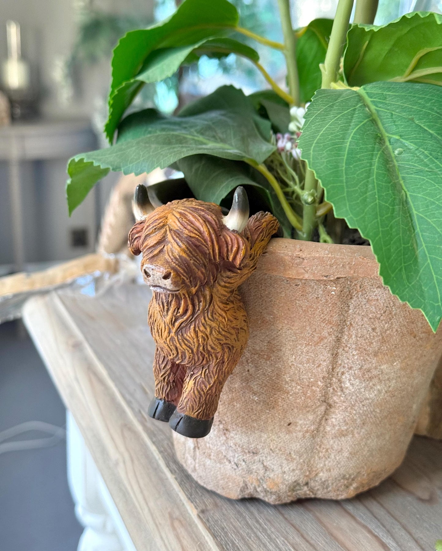 Sweet Highland Cow Pot Hanger - Hanging Backwards