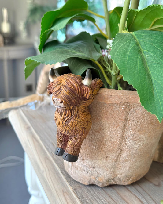 Sweet Highland Cow Pot Hanger - Hanging Backwards