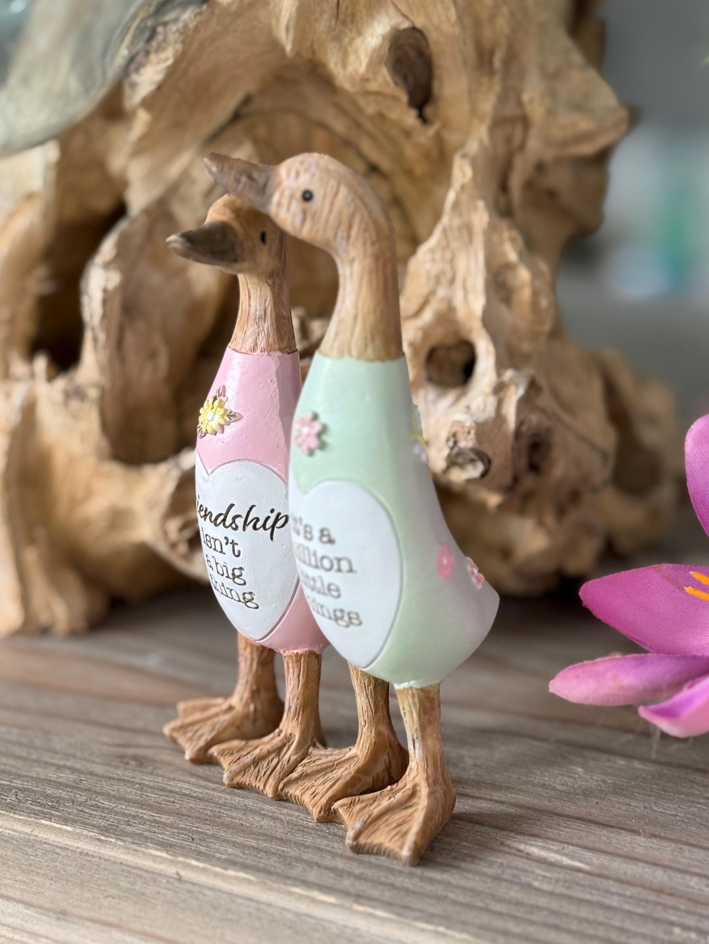 Friend Duck - Friends are a million things