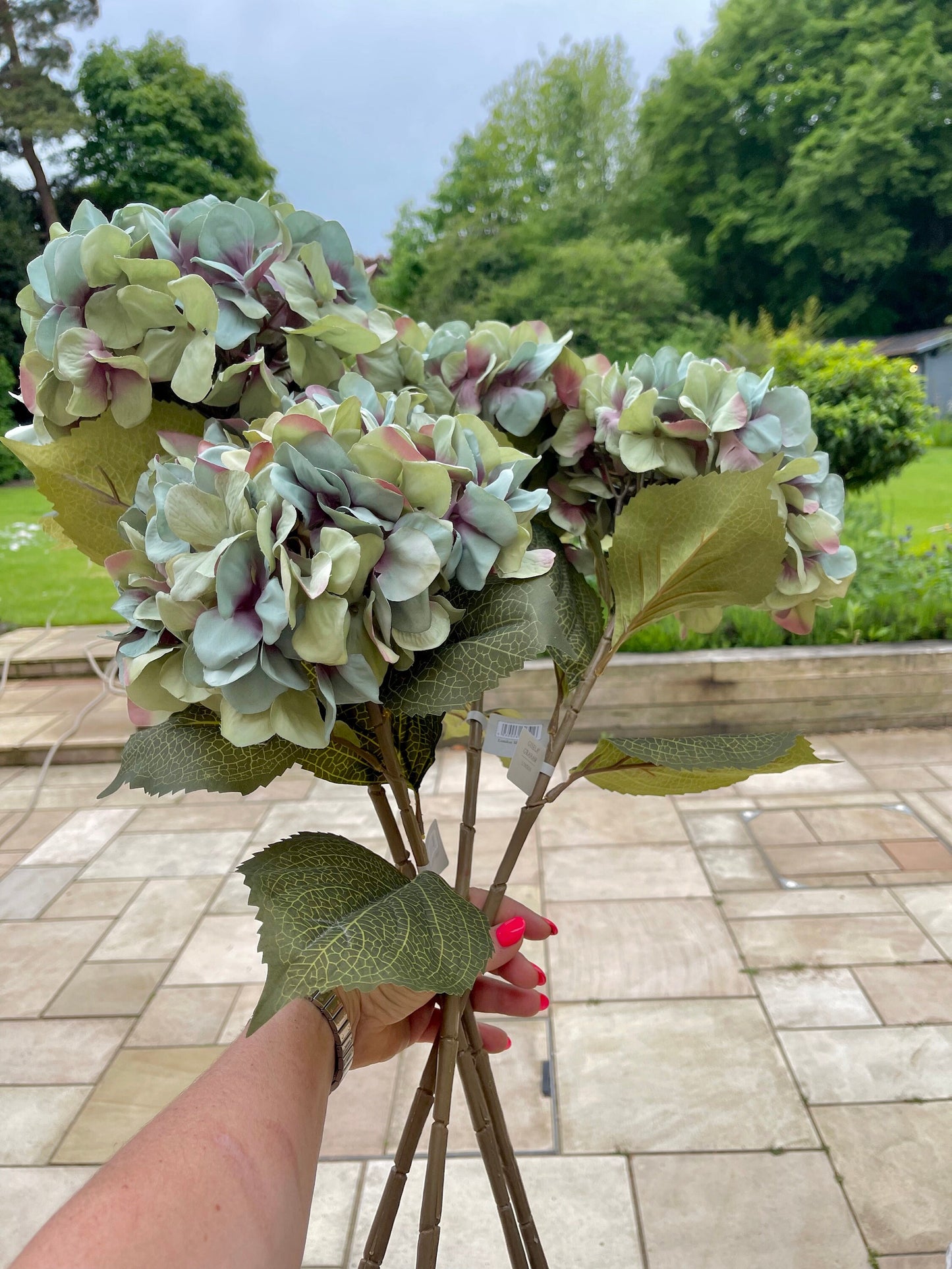Antique Blue Giant Hydrangea - 83cm