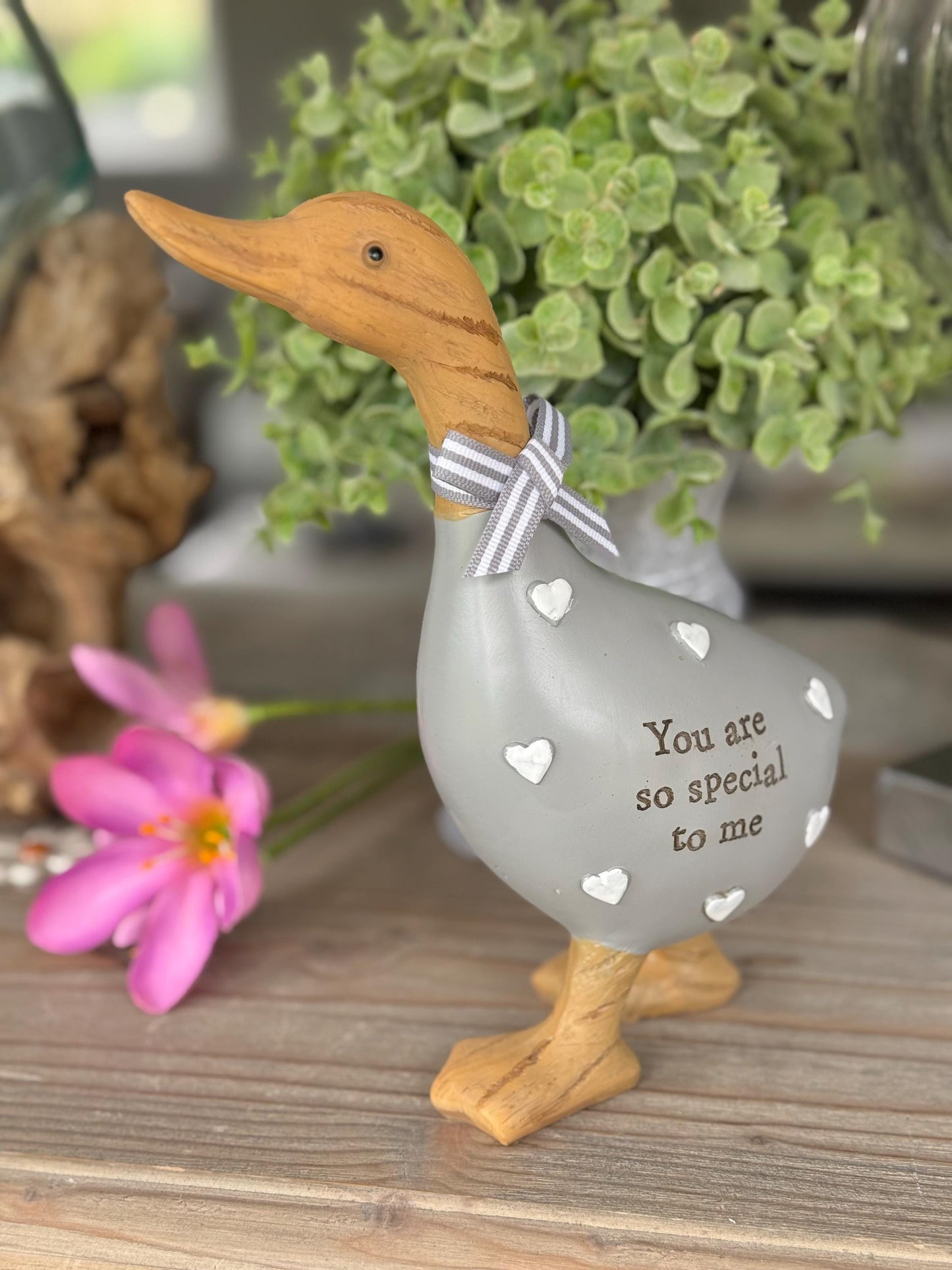 Grey Lovely Duck - You Are So Special To Me