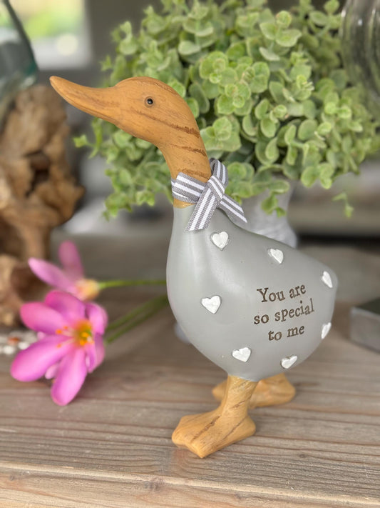 Grey Lovely Duck - You Are So Special To Me