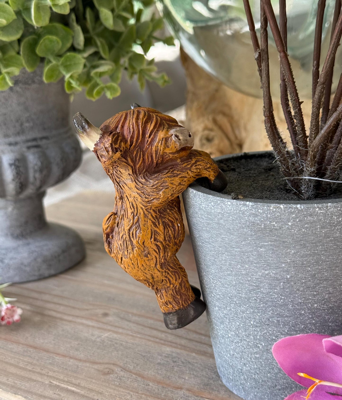 Sweet Highland Cow Pot Hanger - Facing Forward