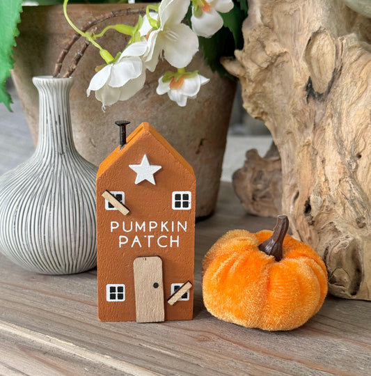 Pumpkin Patch Halloween House