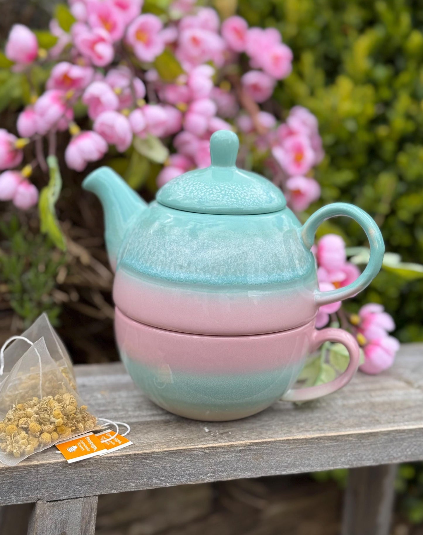 Pastel Ombre Tea For One Pink & Green