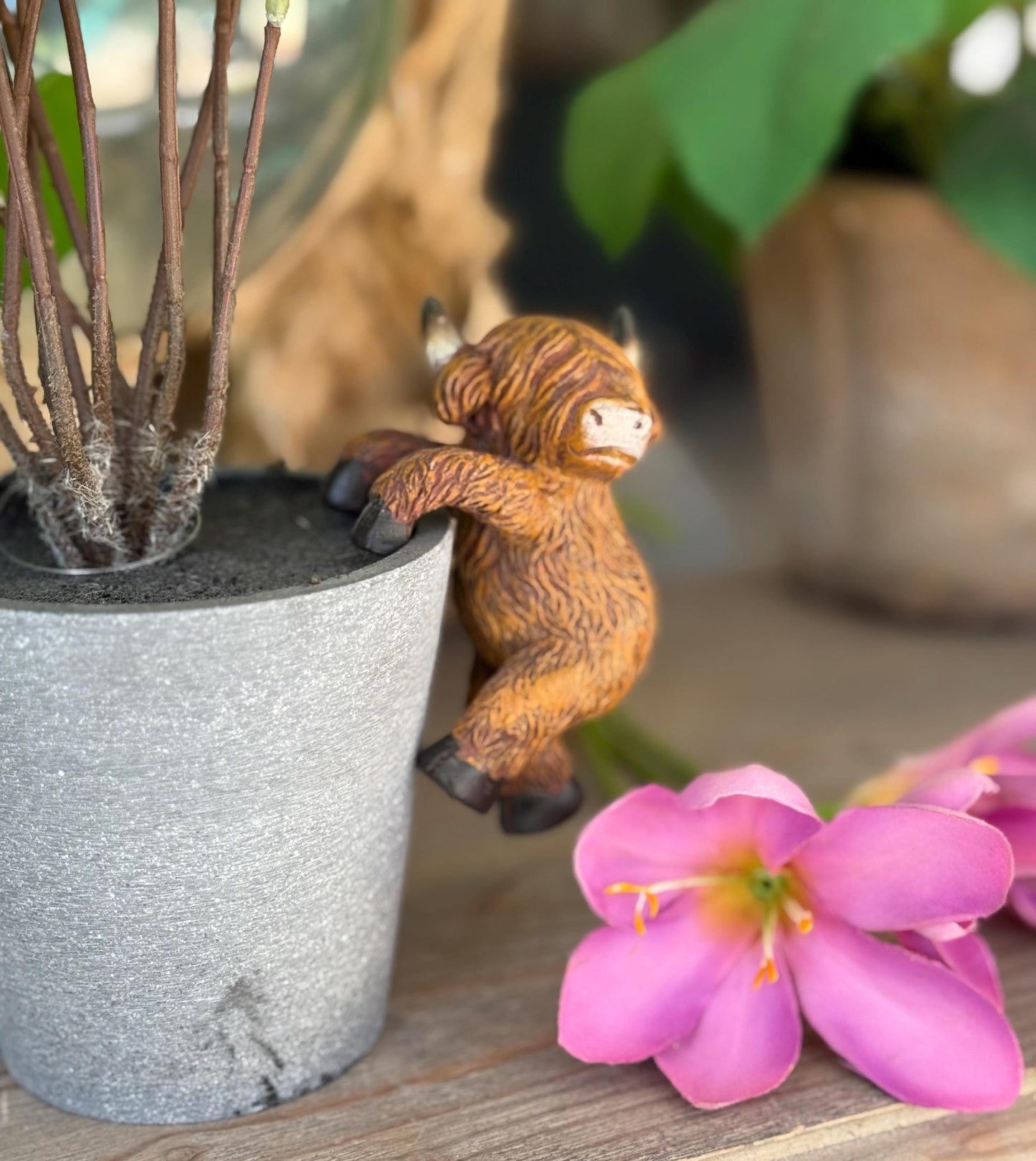 Sweet Highland Cow Pot Hanger - Facing Sideways