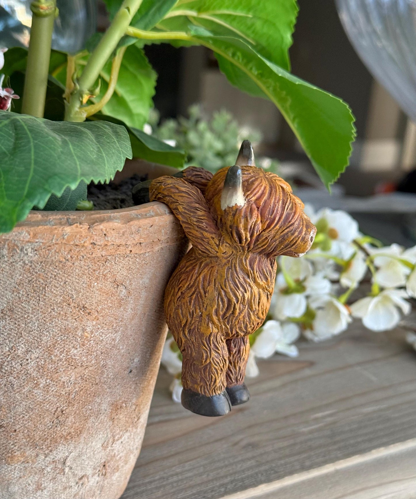 Sweet Highland Cow Pot Hanger - Hanging Backwards