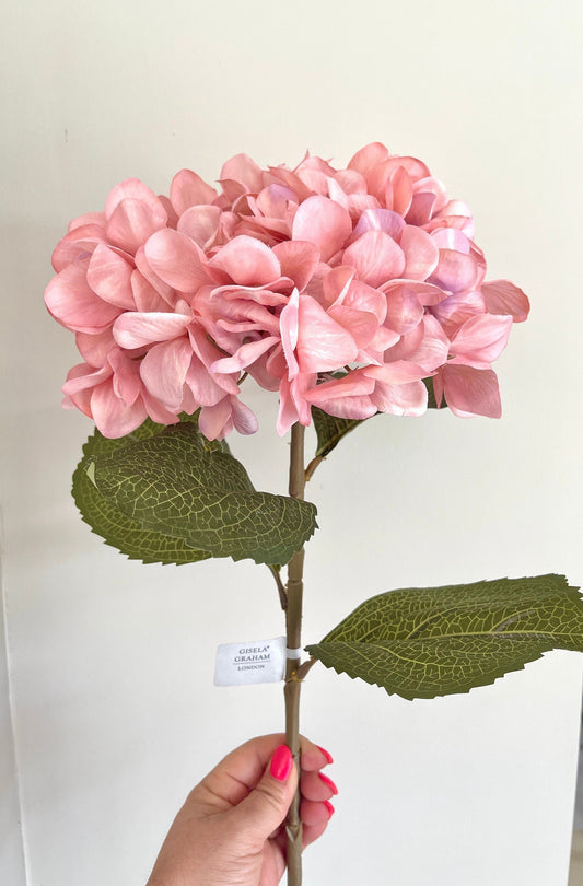 Pink Giant Hydrangea - 83cm