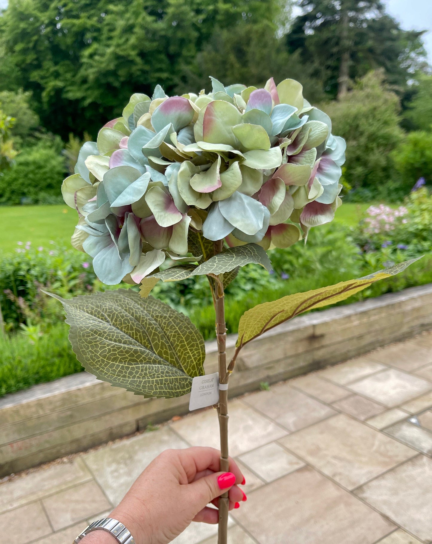 Antique Blue Giant Hydrangea - 83cm