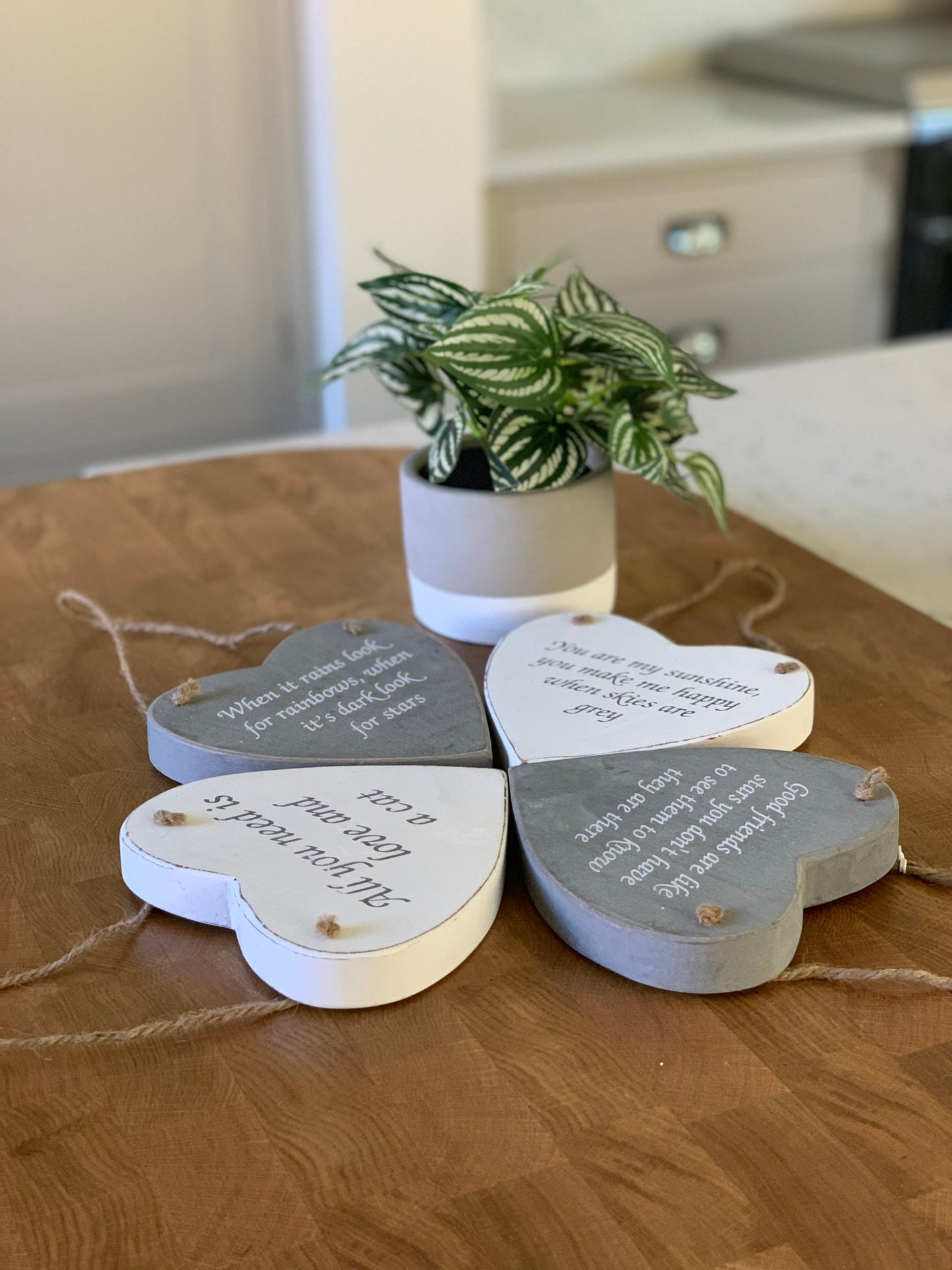 Shaped Sentiment Signs