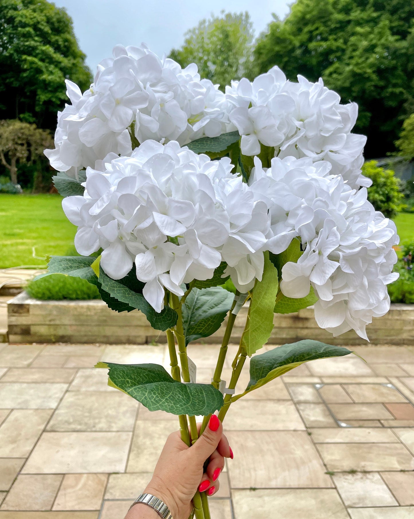 White Giant Hydrangea - 83cm