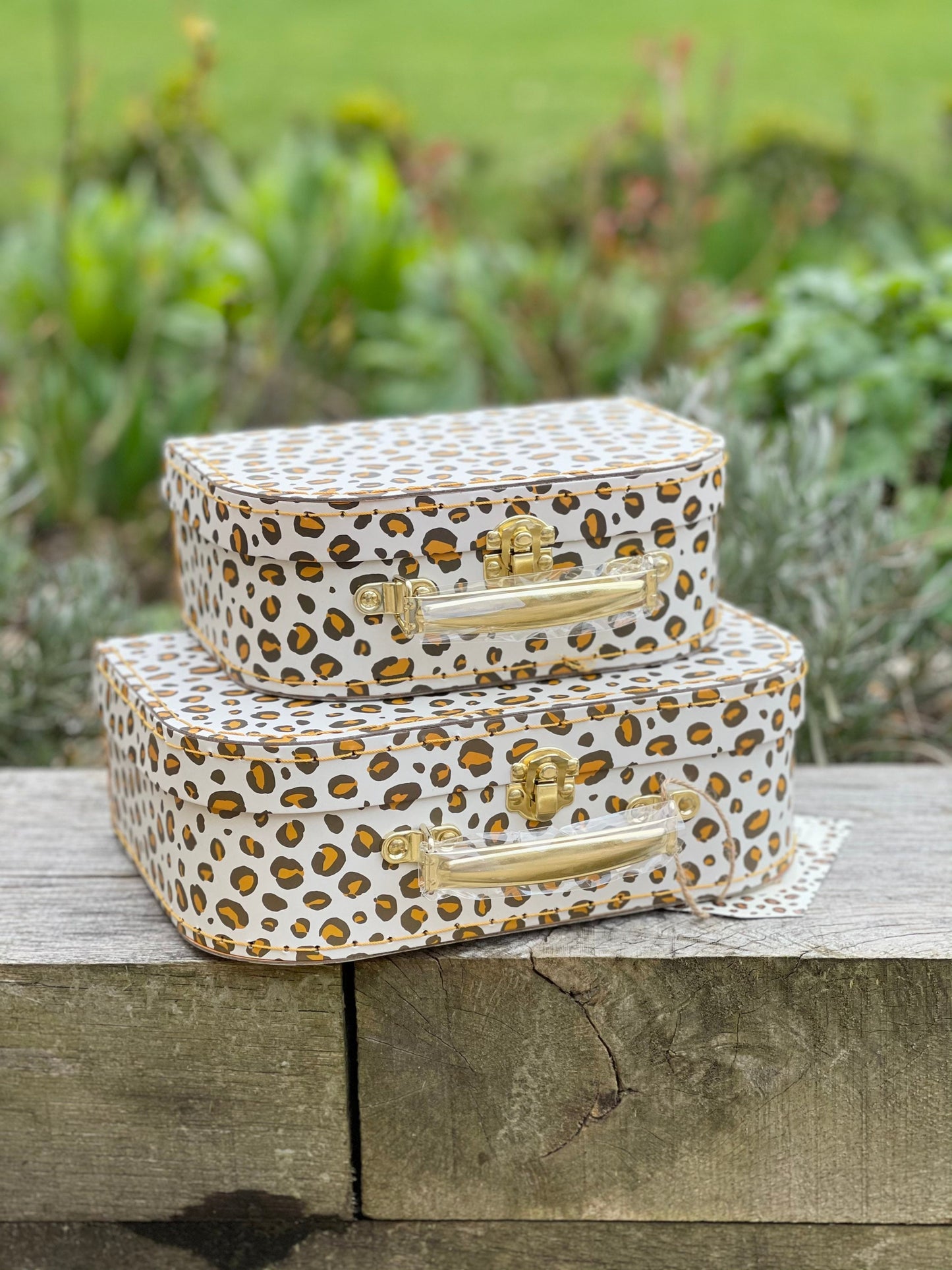 Leopard Love Suitcases  - Set of 2