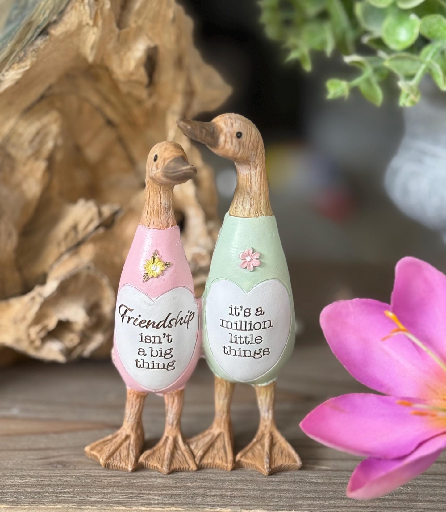 Friend Duck - Friends are a million things