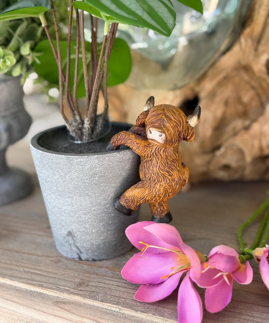 Sweet Highland Cow Pot Hanger - Facing Sideways