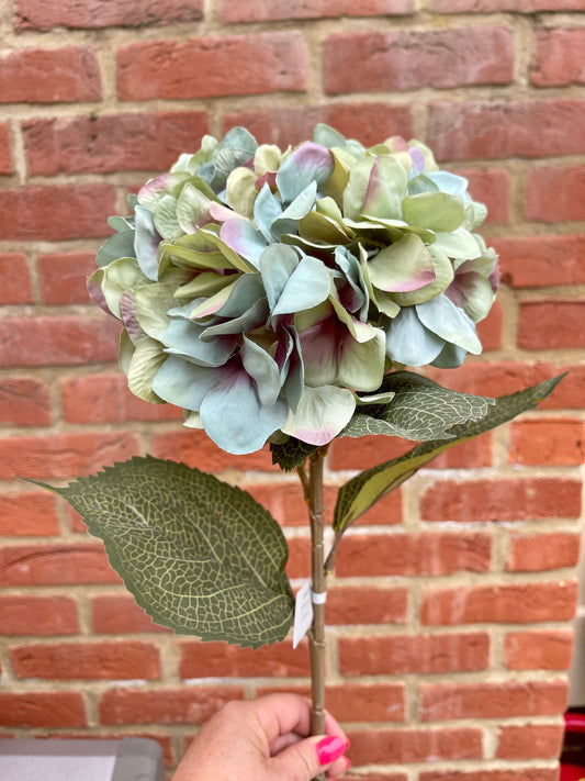 Antique Blue Giant Hydrangea - 83cm
