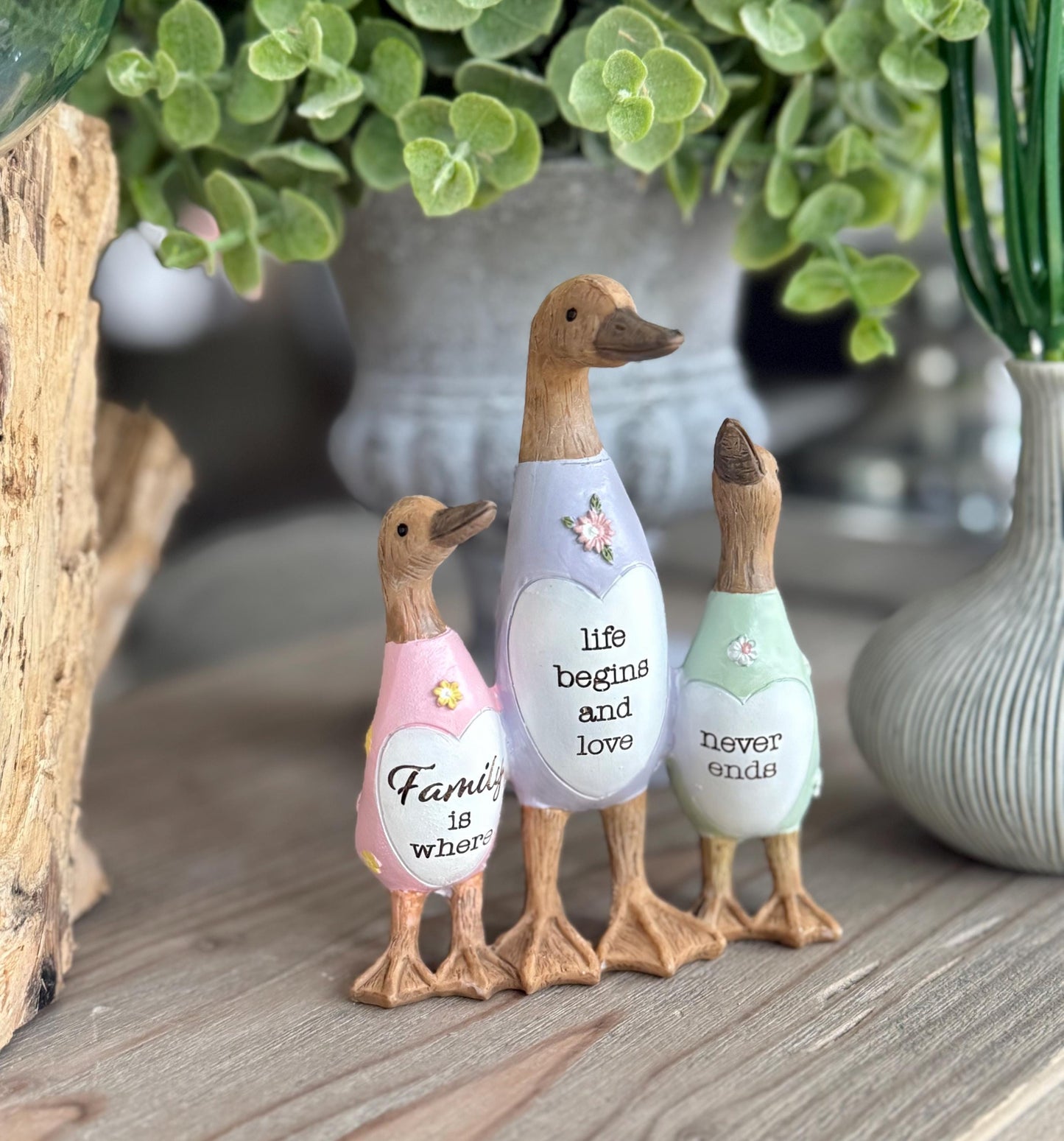 Friend Duck - Family is where life begins