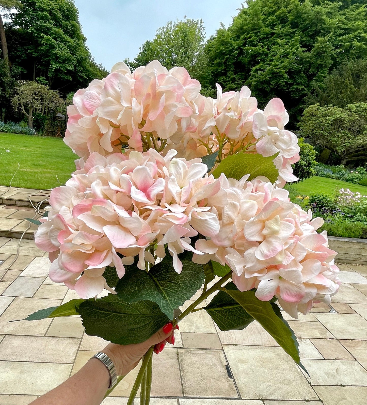 Blush Pink Giant Hydrangea - 83cm