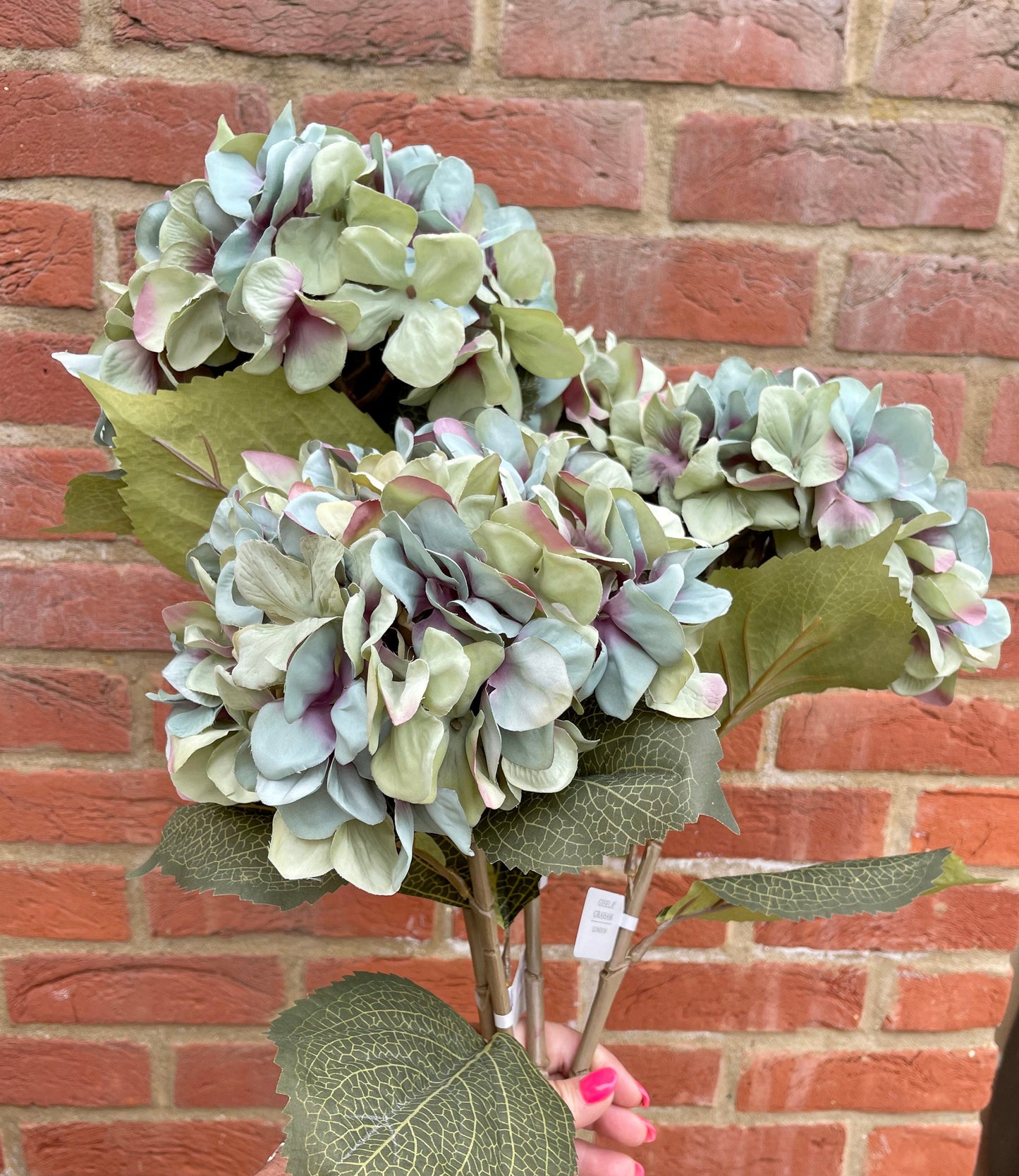 Antique Blue Giant Hydrangea - 83cm