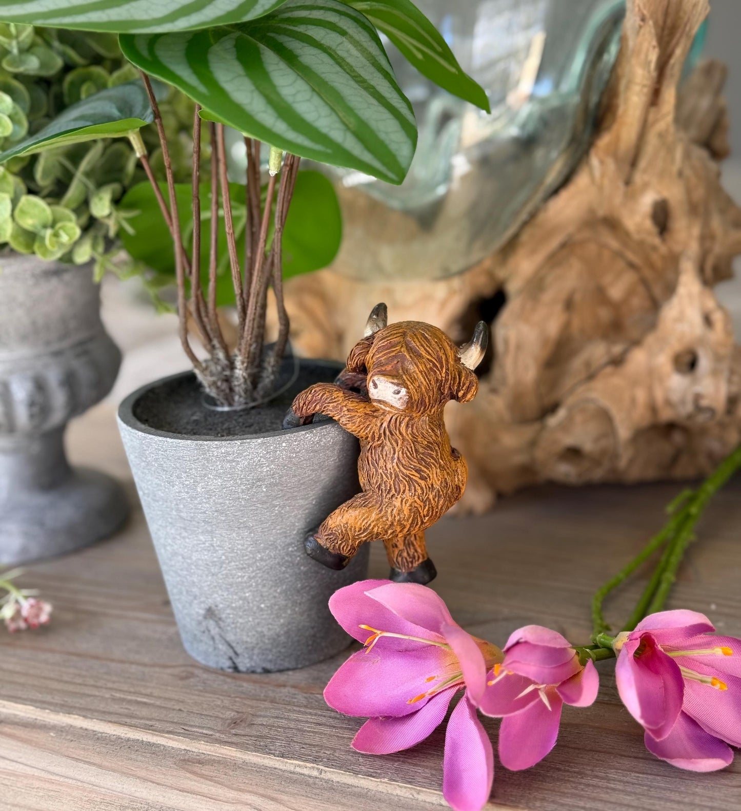 Sweet Highland Cow Pot Hanger - Facing Sideways