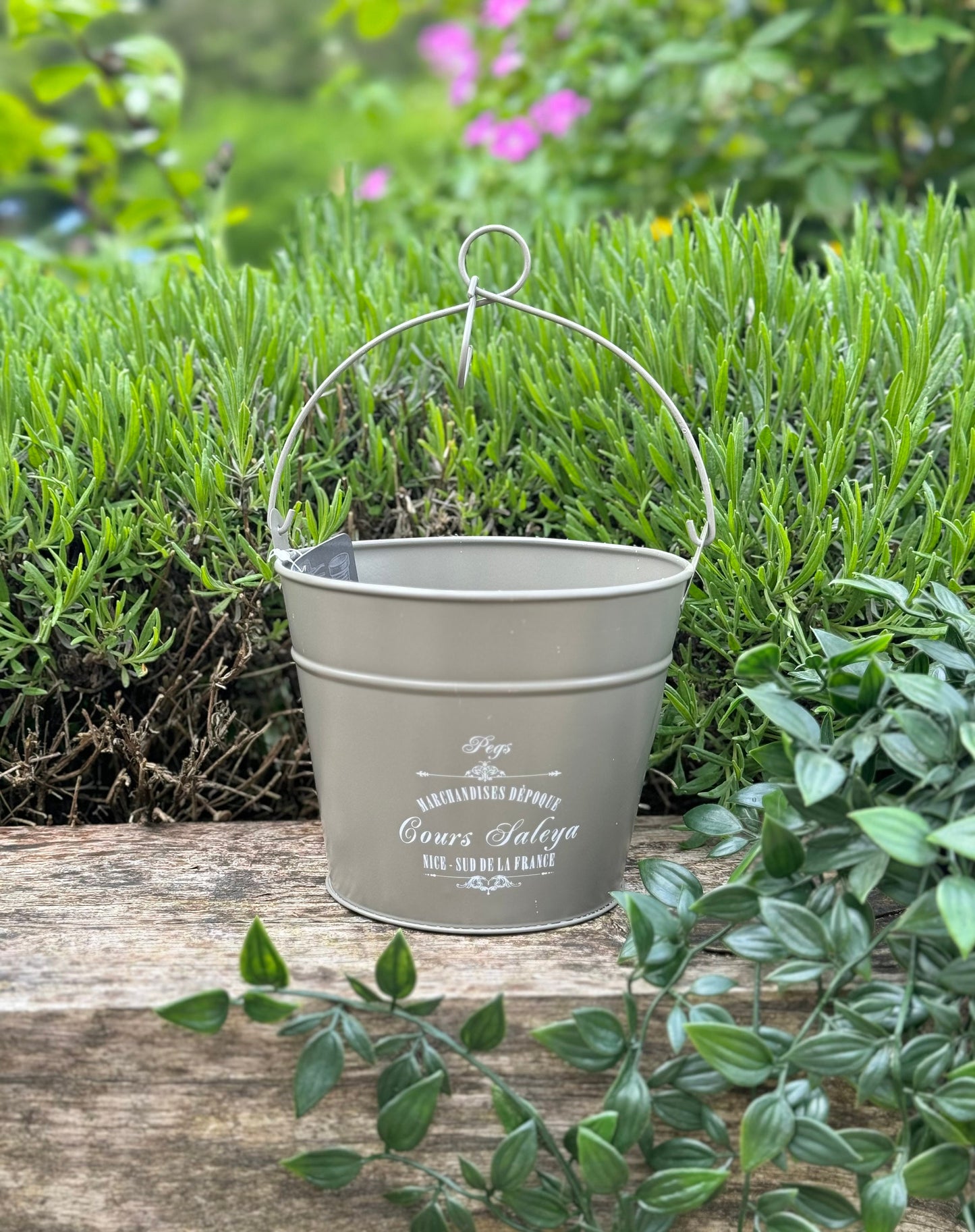 Vintage Peg/Planter Bucket With Handle - 3 Colour Options