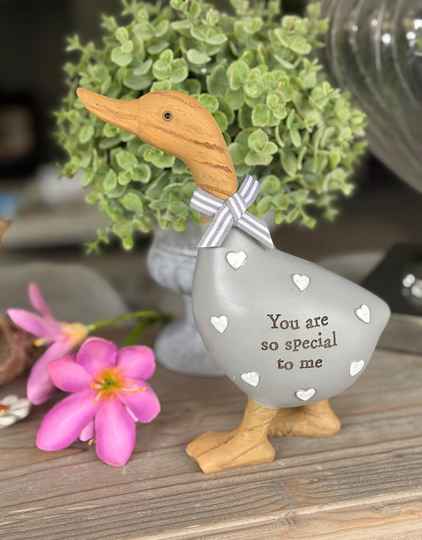 Grey Lovely Duck - You Are So Special To Me