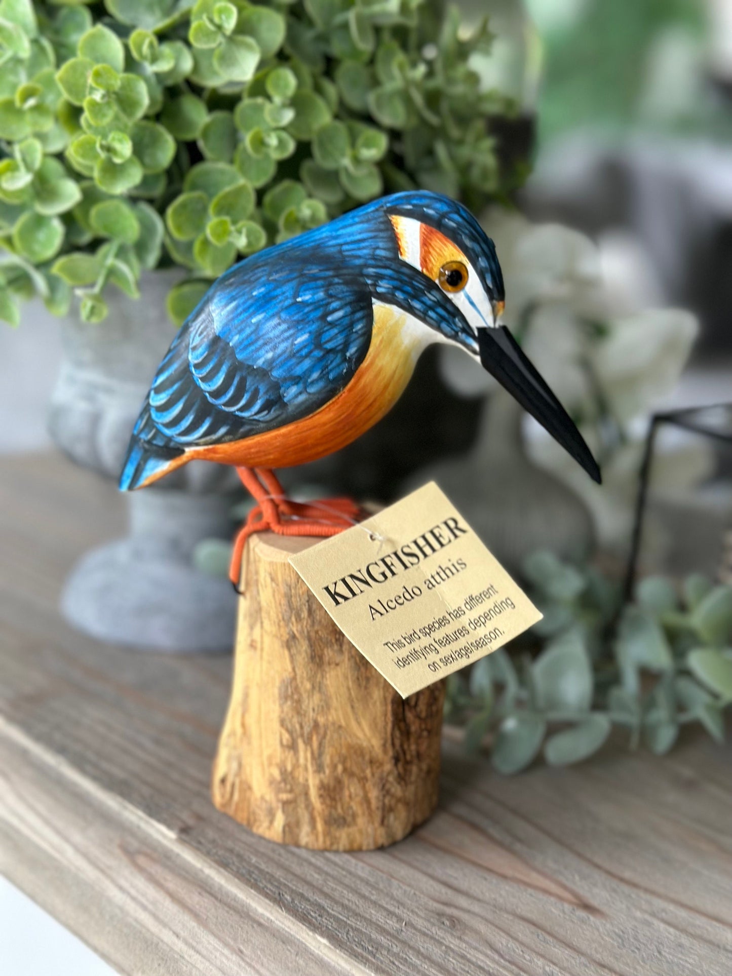 Gorgeous Carved Wooden Kingfisher