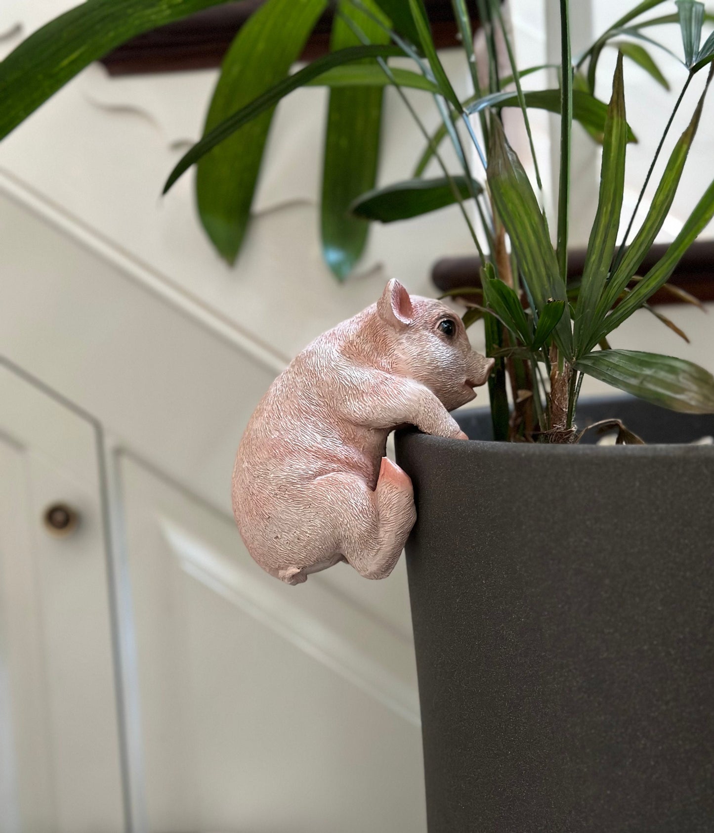 Large Pig Pot Hanger