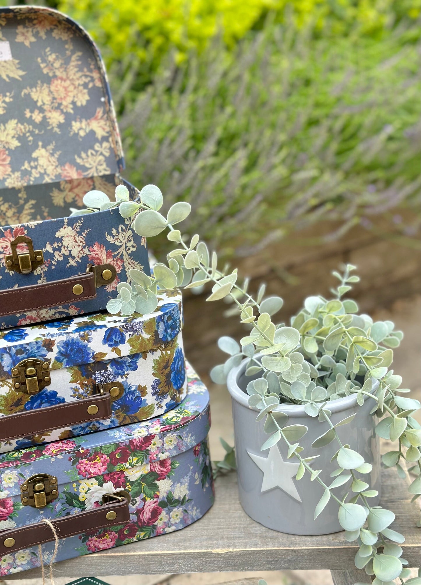 Delphine Blue Vintage Rose Suitcases - Set Of 3