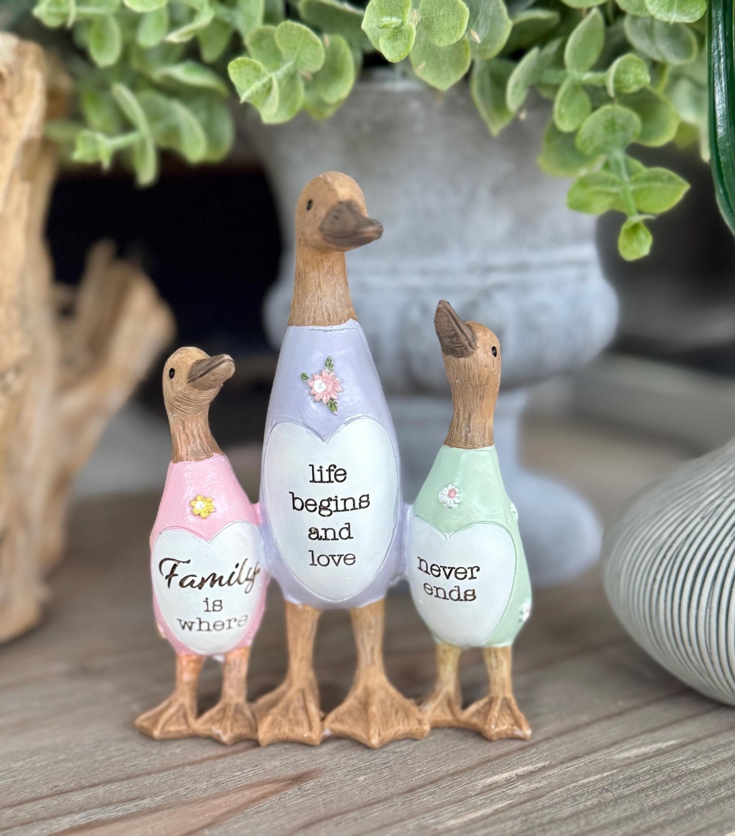 Friend Duck - Family is where life begins