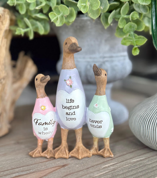 Friend Duck - Family is where life begins