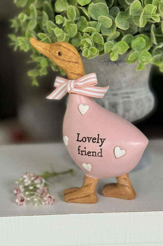 Pink Lovely Friend Duck