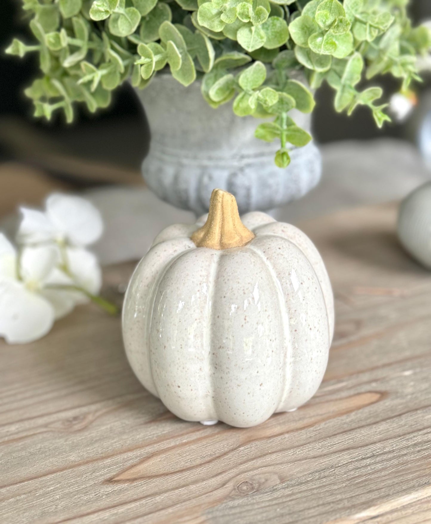 speckled Ceramic Pumpkins - Choice of 2 Colours