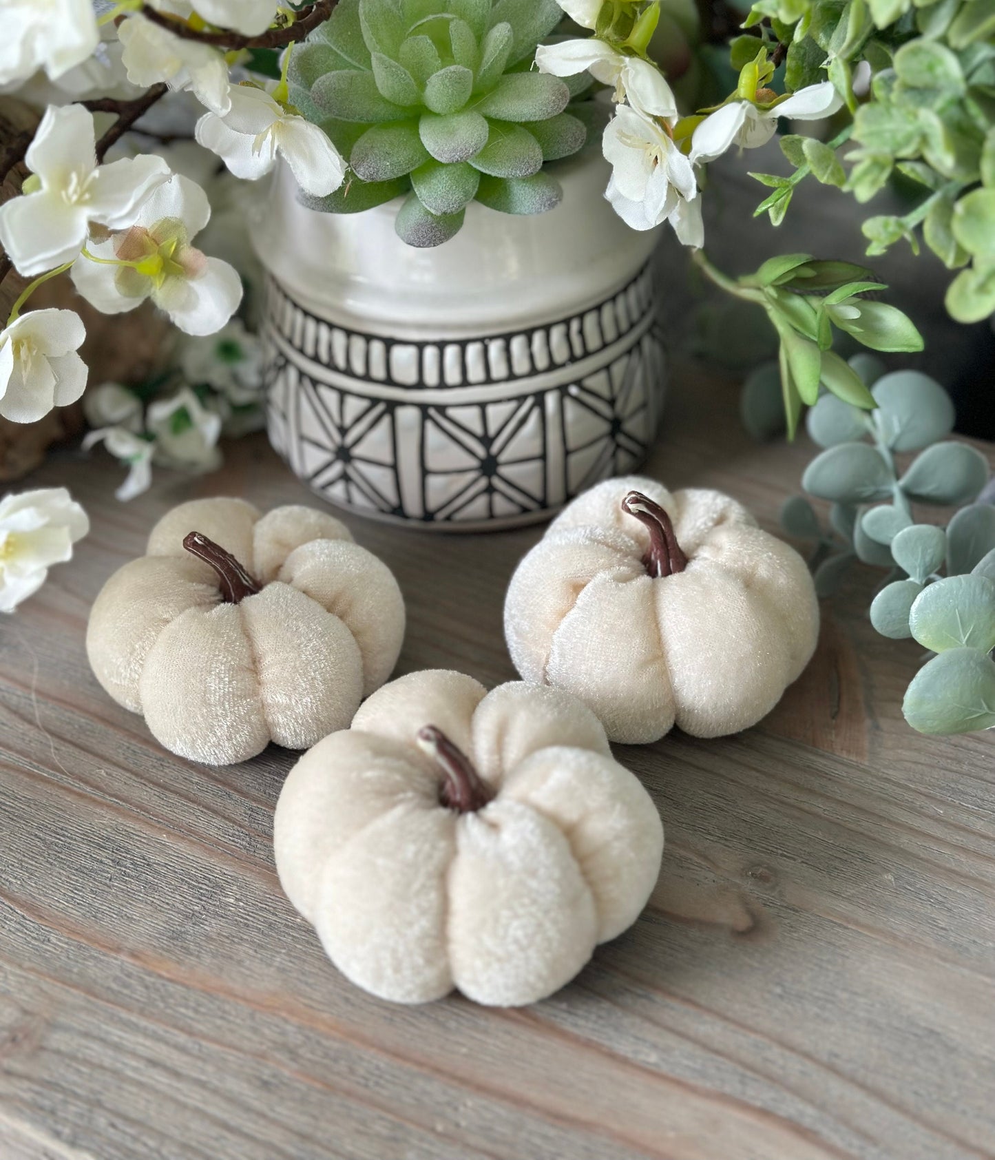 A charming set of 3 Ivory velvet pumpkins