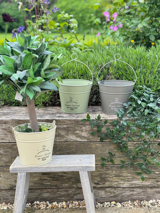Vintage Peg/Planter Bucket With Handle - 3 Colour Options