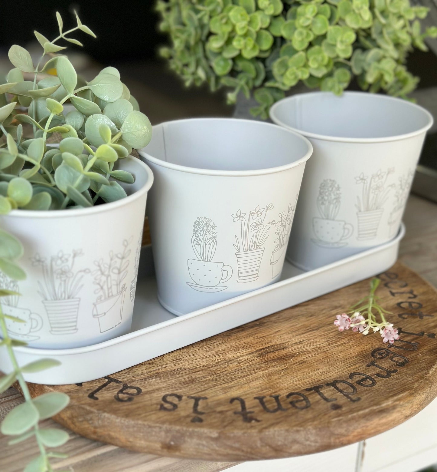Set of 3 Printed Iron Pots with Tray