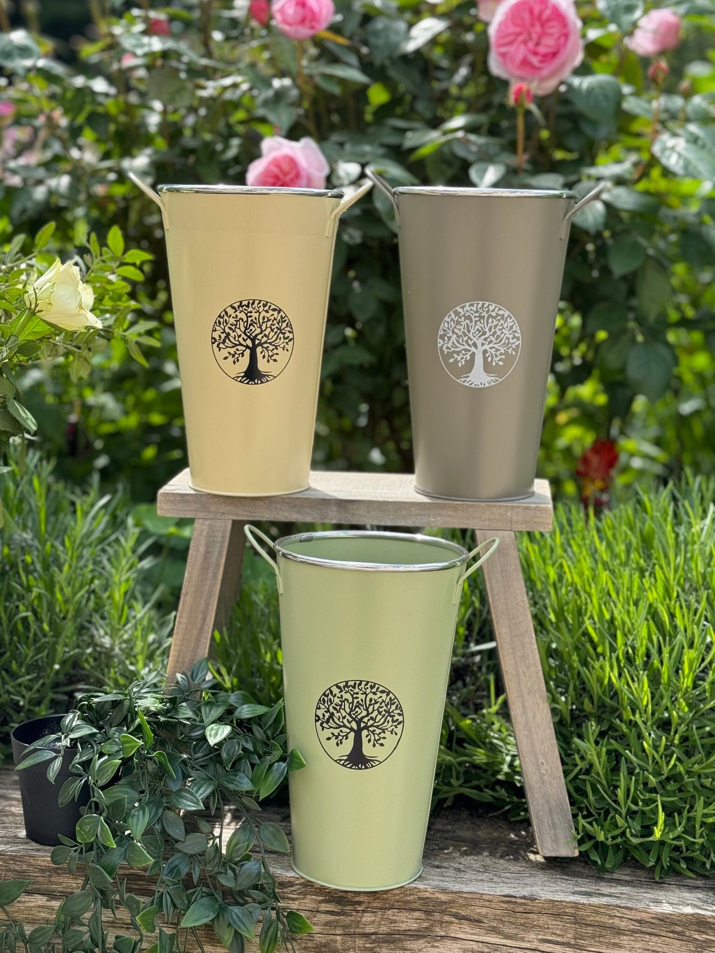 Tall Vintage Bucket Planter With Handle - 3 colours
