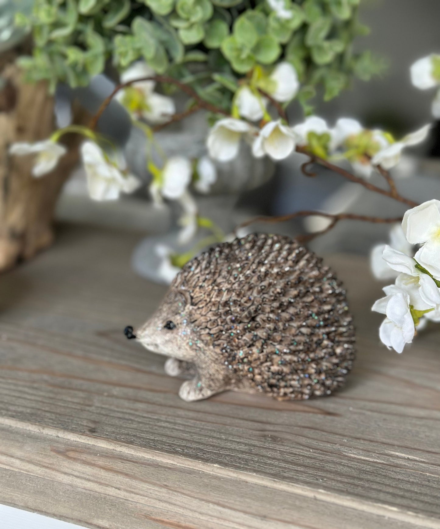 Adorable Little Posed Hedgehog