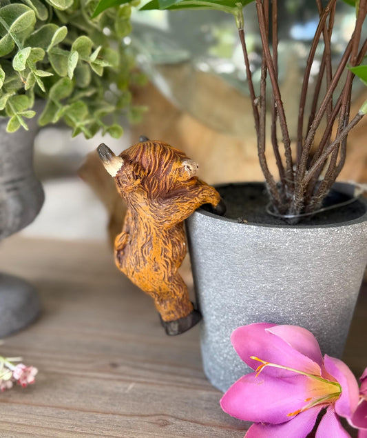 Sweet Highland Cow Pot Hanger - Facing Forward