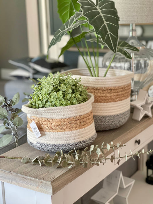 Stripe Natural Baskets - Set of 2