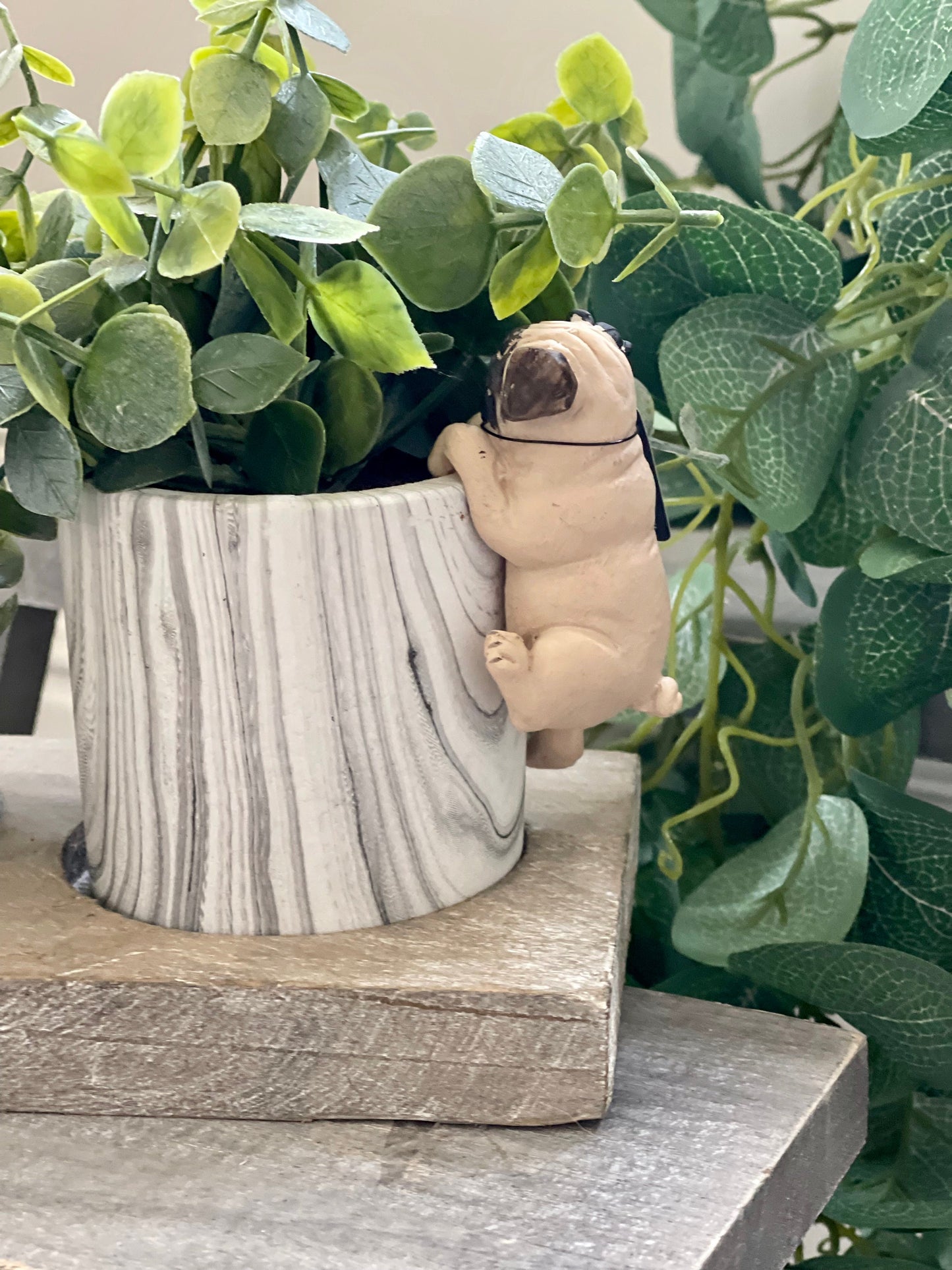 Cream Pug Pot Hanger